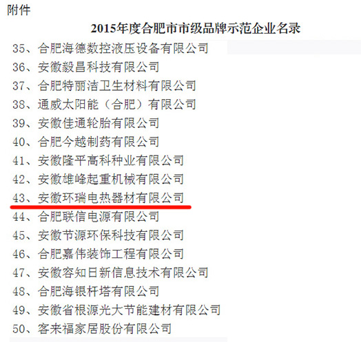 2015年合肥市品牌示范企業(yè)
