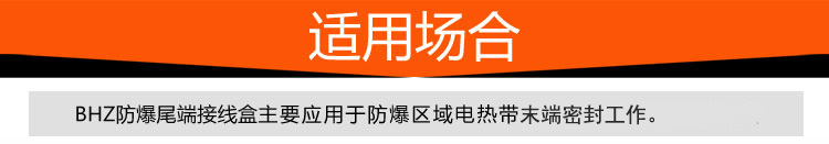 電熱帶尾端介紹