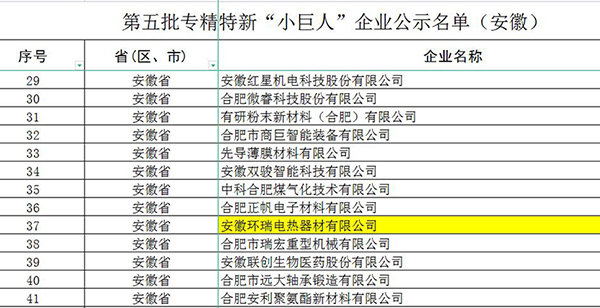 國(guó)家專精特新小巨人名單